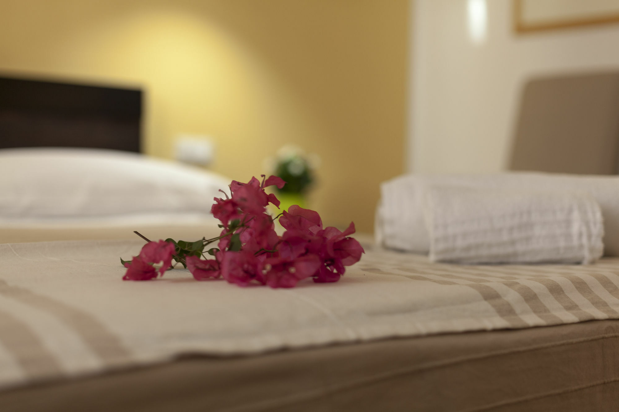 パレルモ Piazza Marina Bed & Breakfast エクステリア 写真